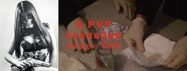 амф Белокуриха