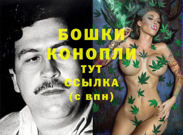 трава Беломорск