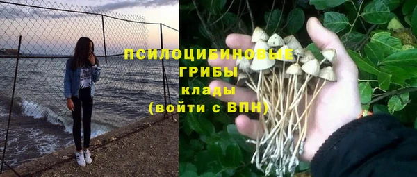 амф Белокуриха
