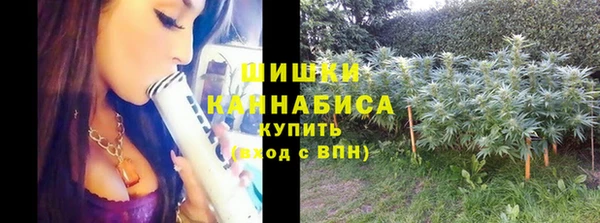 трава Беломорск