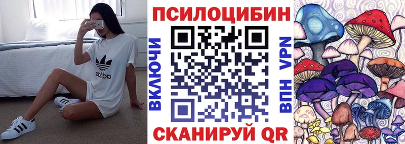 Купить закладки  Карпинск  Псилоцибиновые грибы прущие грибы 